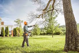 Santa Ana Pueblo, NM Tree Services Company