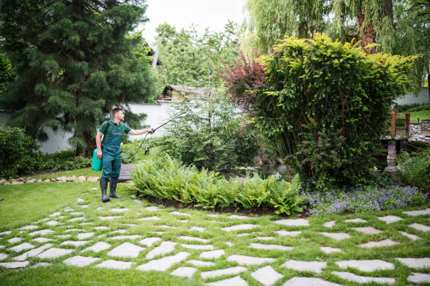 Best Tree Preservation Services  in Santa Ana Pueblo, NM
